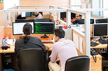 Our workplace and the team