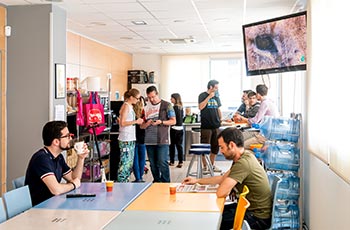 Our workplace and the team